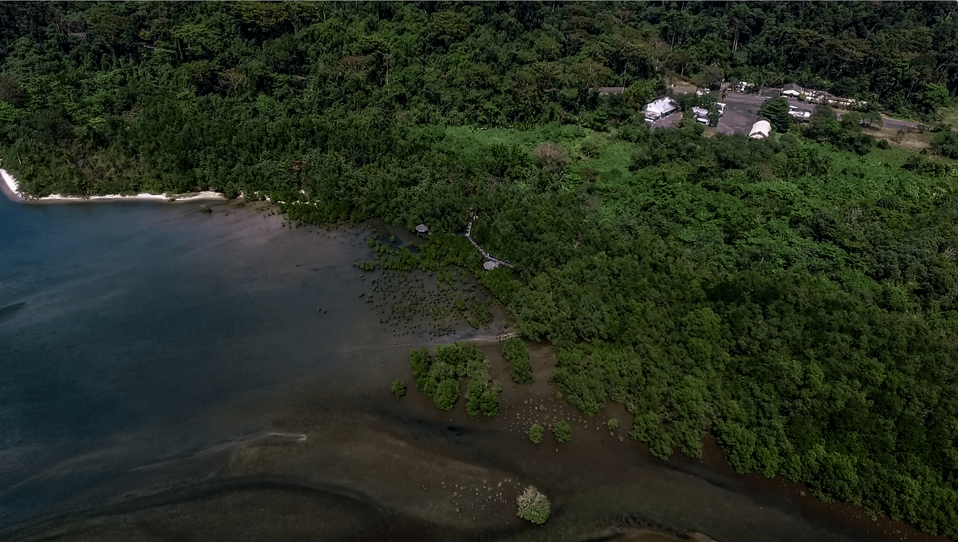 drone shot of triboa bay mangrove park in subic zambales philippines